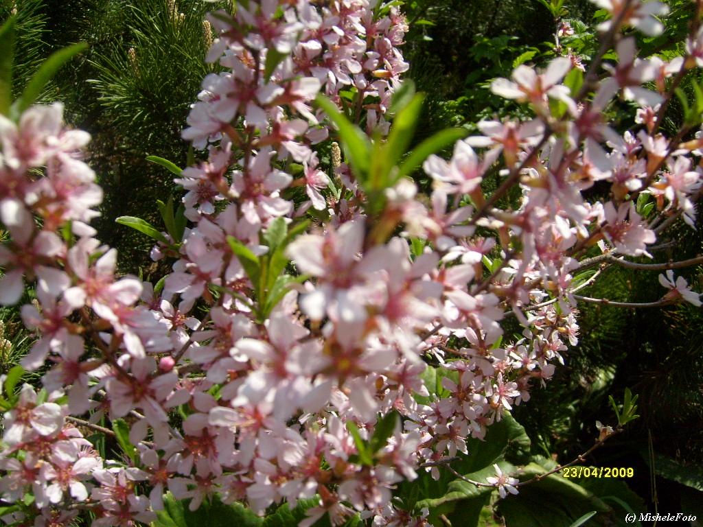 S6303115.JPG