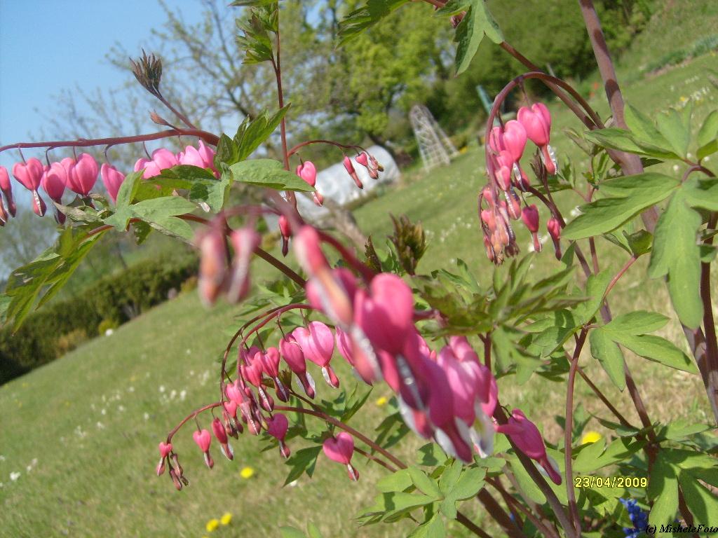 S6303189.JPG